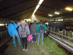 Musikausflug