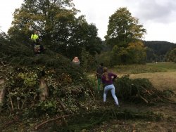Kilwifeuer