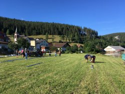 Musikerhock Auf-Abbau
